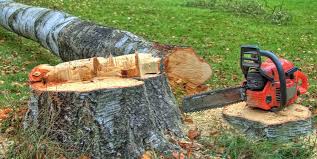 Best Commercial Tree Services  in Moses Lake North, WA