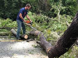 Best Firewood Processing and Delivery  in Moses Lake North, WA