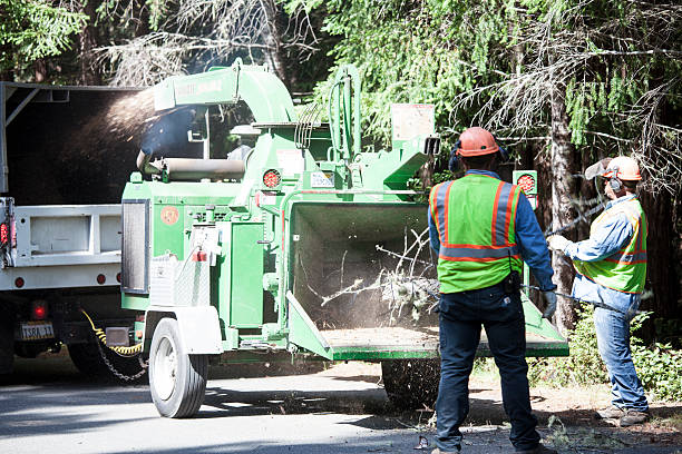 Best Tree Mulching  in Moses Lake North, WA