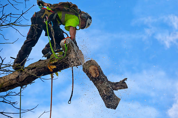 Lawn Maintenance Plans in Moses Lake North, WA